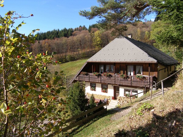 Extérieur