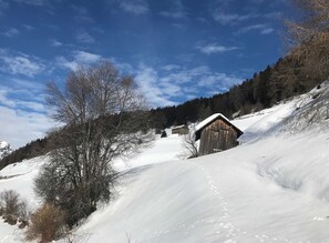 Uklassifisert bilde, 5 av 27, knapp