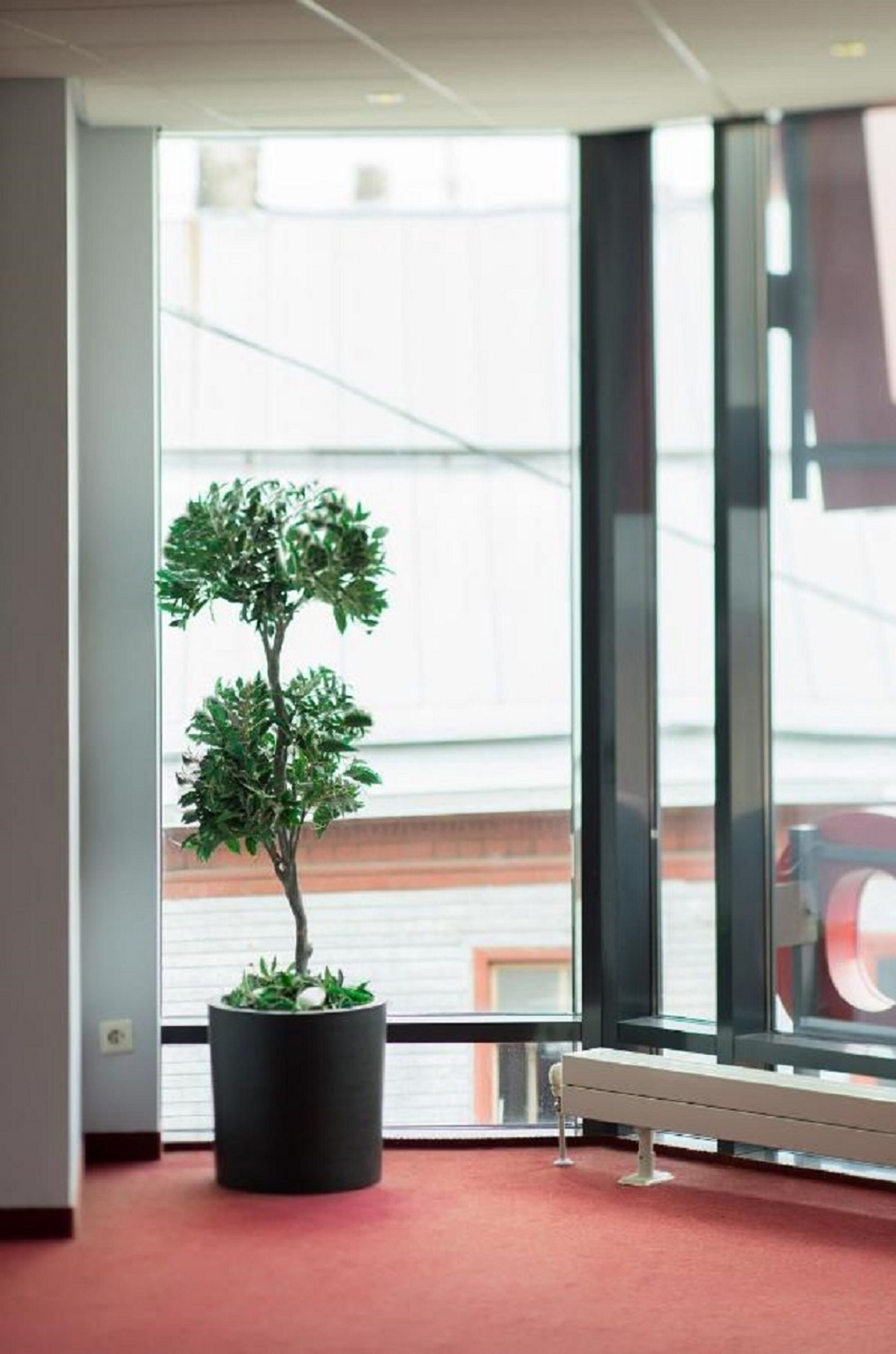 Une pièce avec un arbre en pot, un radiateur et une grande fenêtre équipée de stores.