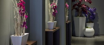 Airport Hotel Entebbe