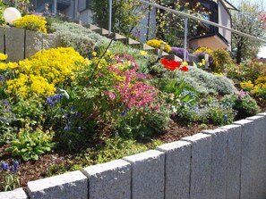 Unclassified image, 3 of 33, button - Double room No. 3, 14m², shared bathroom - Bea's Gästezimmer (Herbolzheim)