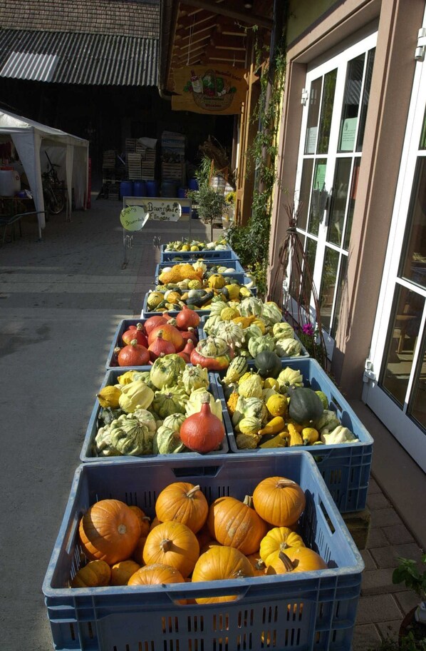 Imagen sin descripción, 1 de 28, botón