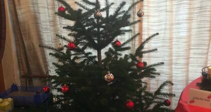 Jörgers Grafenhof - Apartment with 84sqm, 3 bedrooms, max. 7 people