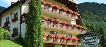 Double room 3 with toilet and shower, 1 - 3 persons - Mosertonihof