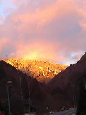 Unclassified image, 4 of 29, button