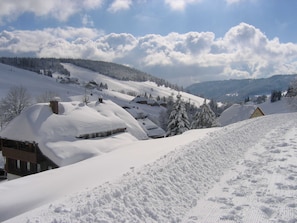 A snow-covered village with traditional houses, a clear sky, and distant mountains.