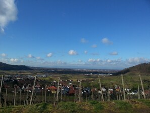 Unclassified image, 4 of 16, button