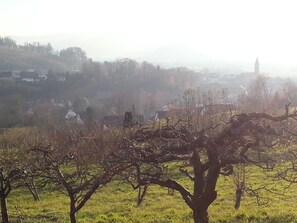 Unclassified image, 5 of 16, button - Triple room with WC / shower / bath - Gästehaus Tagescafe Eckenfels (Ohlsbach)