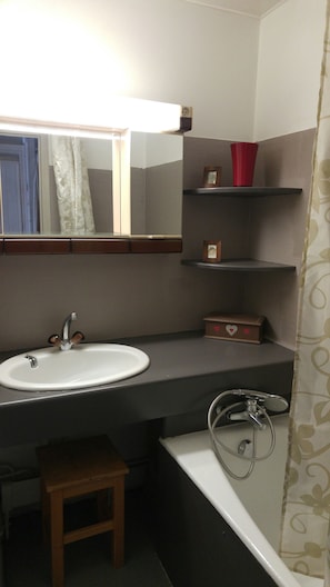 Bathtub, hair dryer, toilet paper