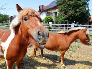 Unclassified image, 5 of 23, button