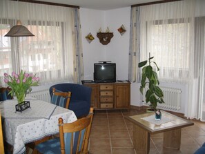 Fernseher