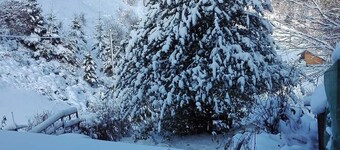 Haus am Bach - Appartement 30m², 1 salon / chambre à coucher, max. 3 personnes