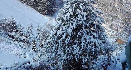 Haus am Bach - Apartment 30sqm, 1 living room / bedroom, max. 3 persons