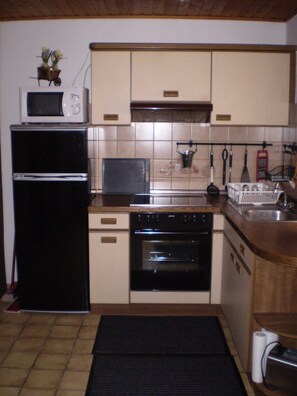 Fridge, microwave, oven - Haus am Bach - Apartment 30sqm, 1 living room / bedroom, max. 3 persons (Freiburg im Breisgau)