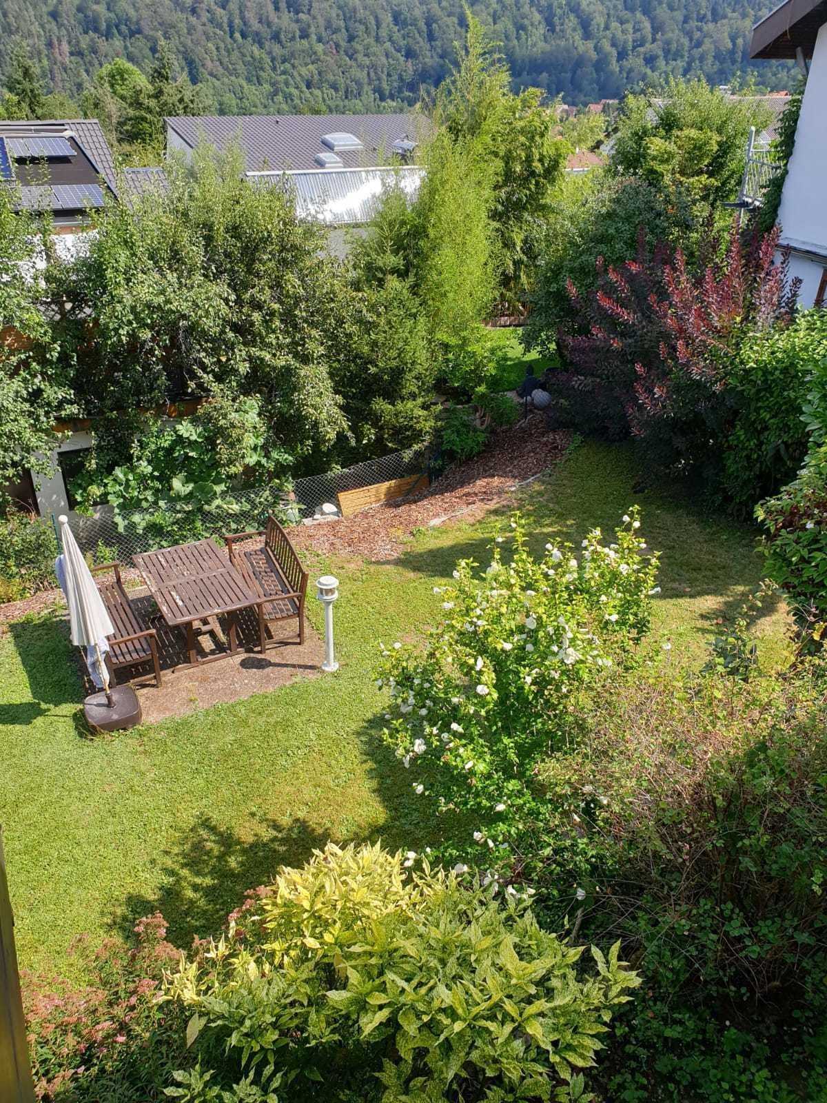 A residential garden with a patio, a fence, and a variety of plants.