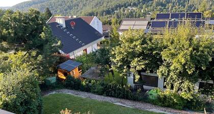 Huoneisto Black Forest