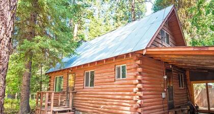 Charming McCall Cabin Near Lake & Park