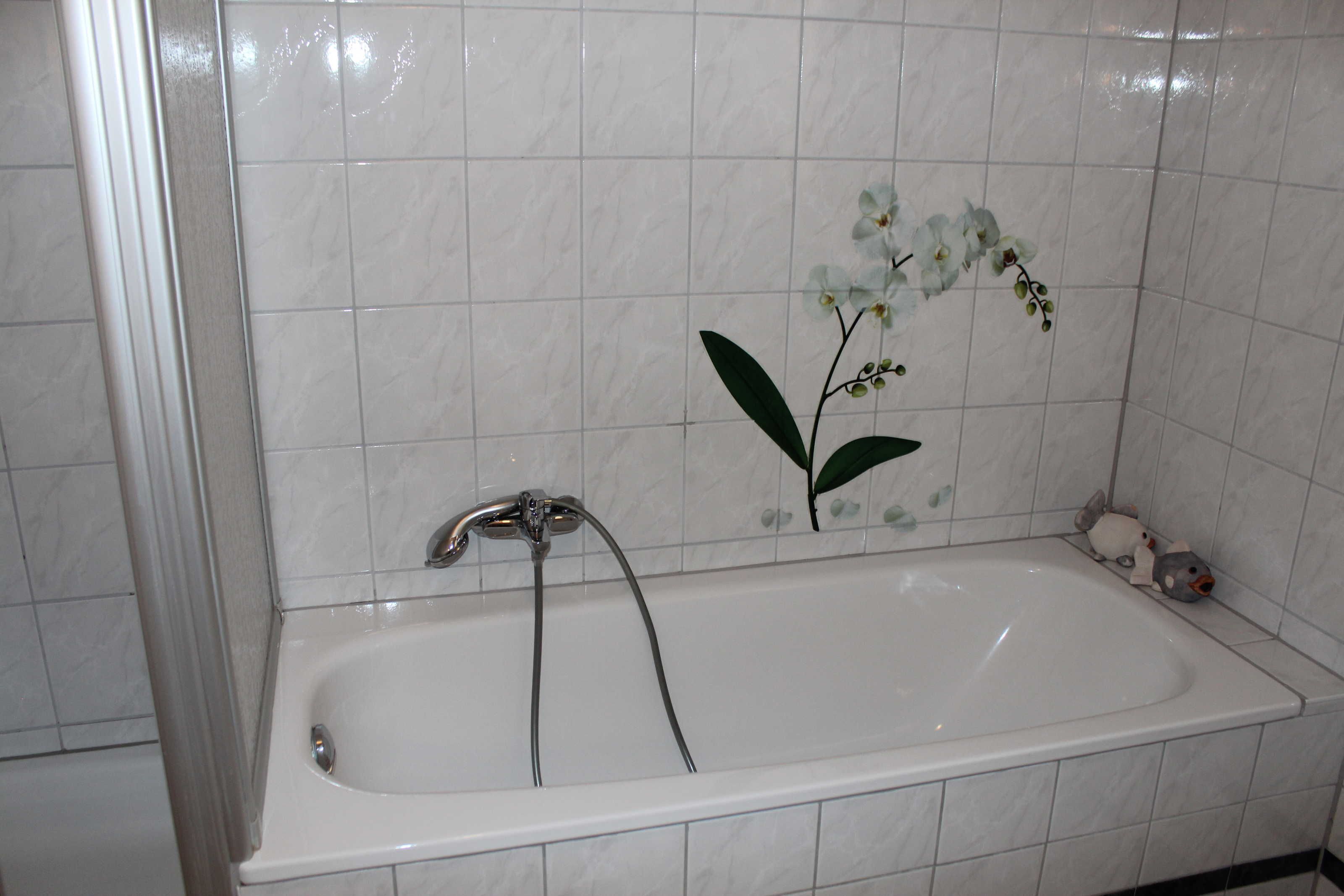 Douche, sèche-cheveux, serviettes fournies