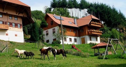 Schwörerhof - Apartment 70sqm, 2 bedrooms, 1 living room / bedroom, max. 5 people