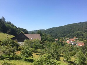 Unclassified image, 2 of 15, button