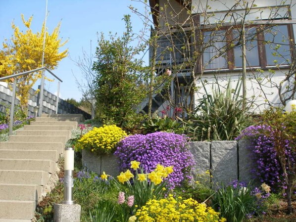 Botón de imagen sin clasificar, 1 de 31