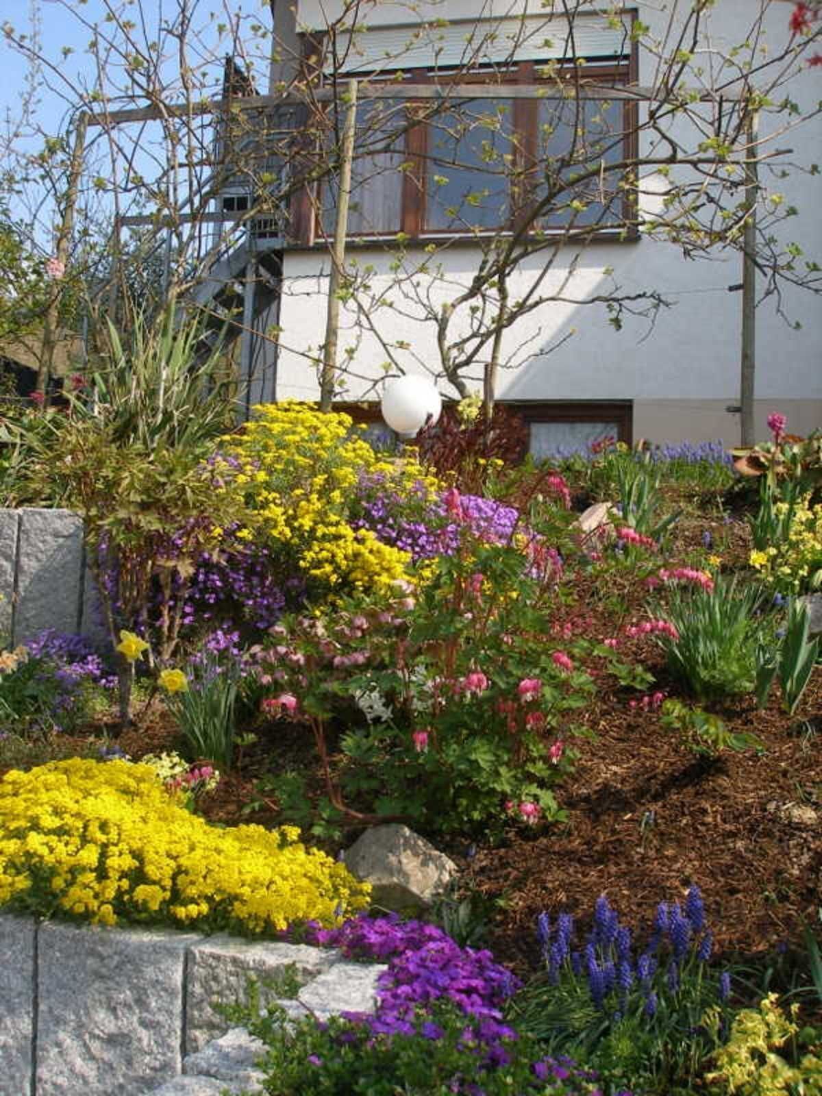 Detalle del exterior