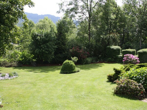 Imagen sin descripción, 1 de 13, botón