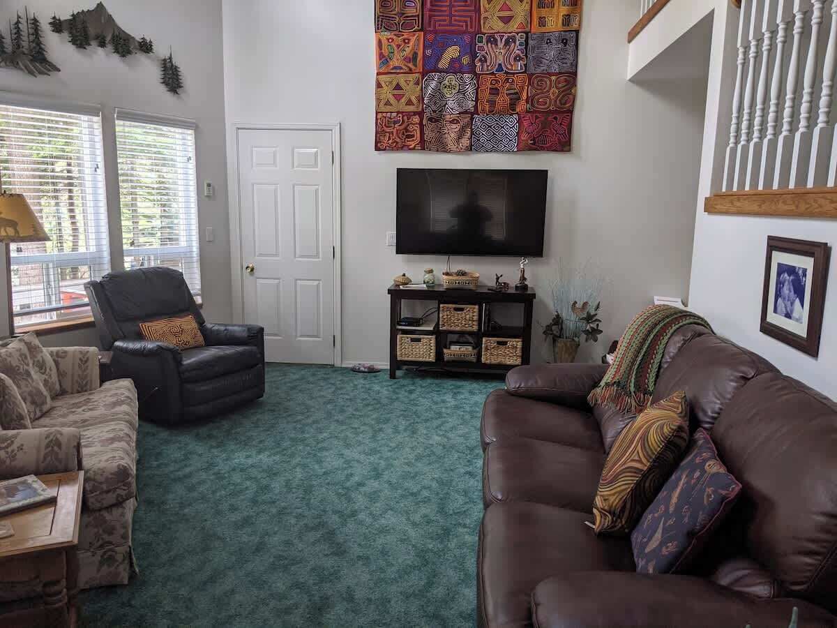 Smart TV, fireplace, books