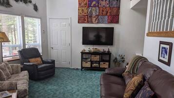 Smart TV, fireplace, books