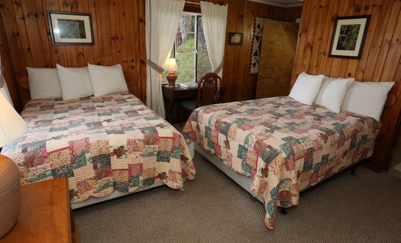 Une chambre avec deux lits, des murs en bois, une fenêtre avec des rideaux, une petite table avec une lampe et des tableaux encadrés accrochés aux murs.