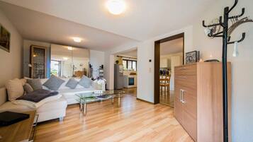 Fernseher, DVD-Player