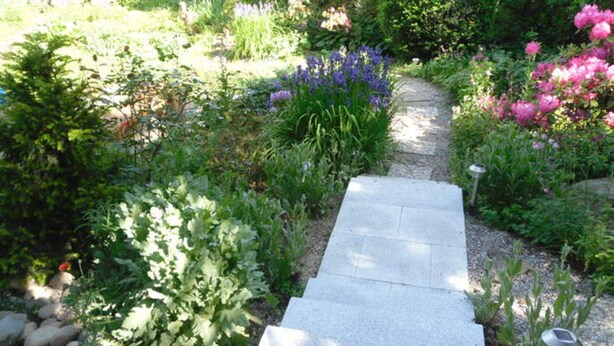 Un sendero en un jardín con diversas plantas y flores.