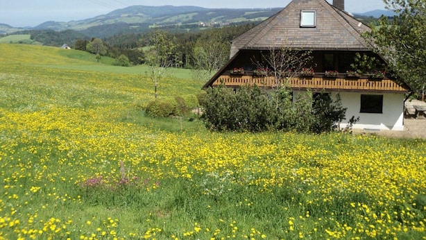 A traditional chalet with a sloped roof, a chimney, and a small window. It is surrounded by a lush green field with yellow flowers. - No4 panoramic view, 1 - 4 people - Christenmartinshäusle (Sankt Märgen)