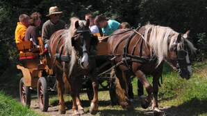 Une calèche tirée par des chevaux, avec des passagers à bord.