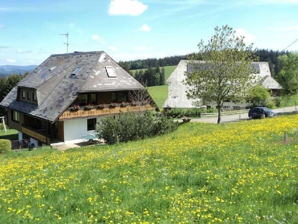 Esterni