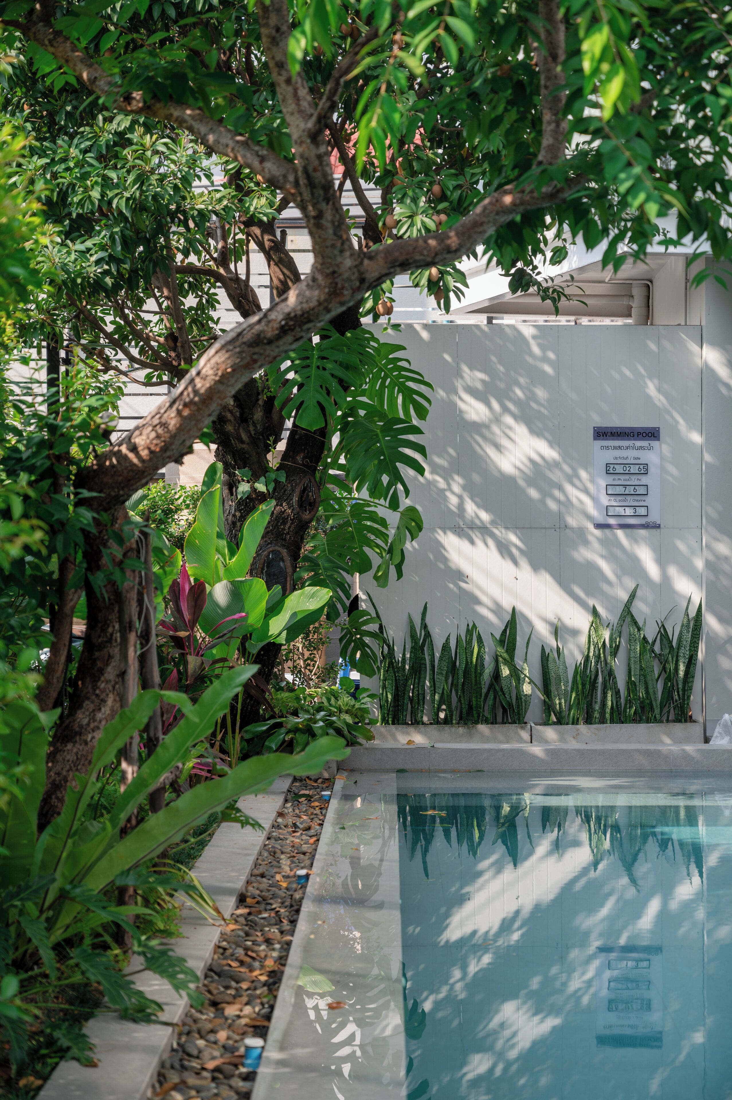 outdoor pool, open 8:00 am to 8:00 pm, pool loungers