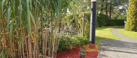 A garden pathway with a birdhouse on a post, surrounded by greenery and mulch.