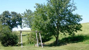 Eine Wiese mit einer Holzschaukel und einem großen Baum.
