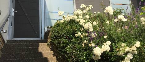 Details aan de buitenkant