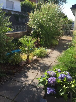 A garden pathway with various plants and a metal fence.