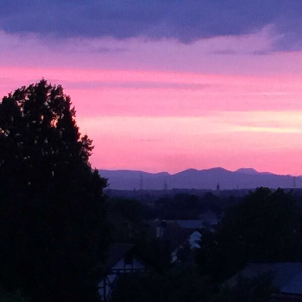 Imagen sin descripción, 1 de 63, botón