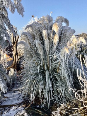 Imagen sin descripción, 5 de 63, botón