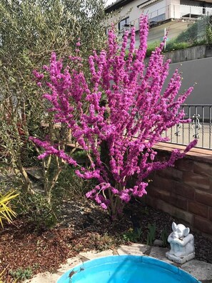 Unclassified image, 5 of 63, button