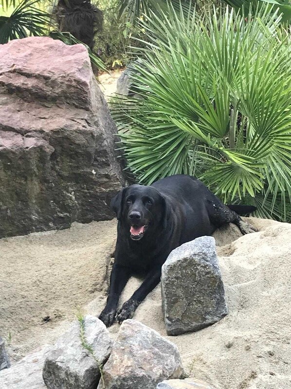 Unclassified image, 1 of 63, button