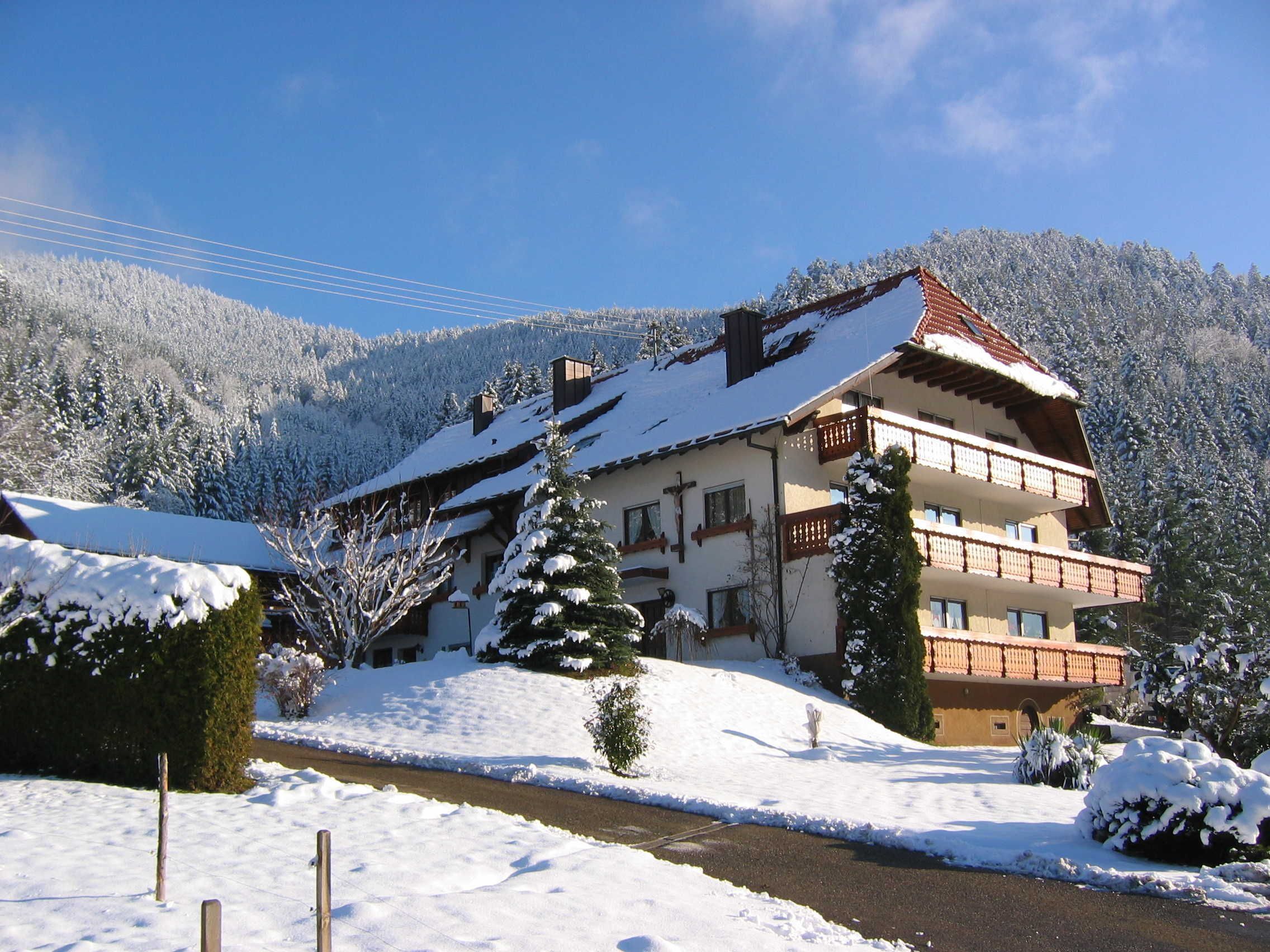 A multi-story building with balconies, surrounded by snow-covered trees and a mountain in the background.
