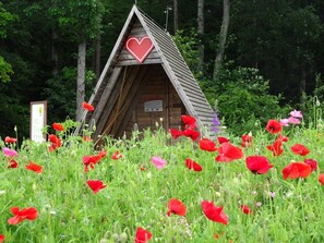 Botón de imagen sin clasificar, 3 de 22