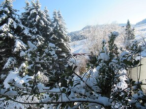 Unclassified image, 5 of 39, button