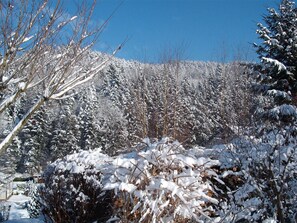 Unclassified image, 3 of 39, button