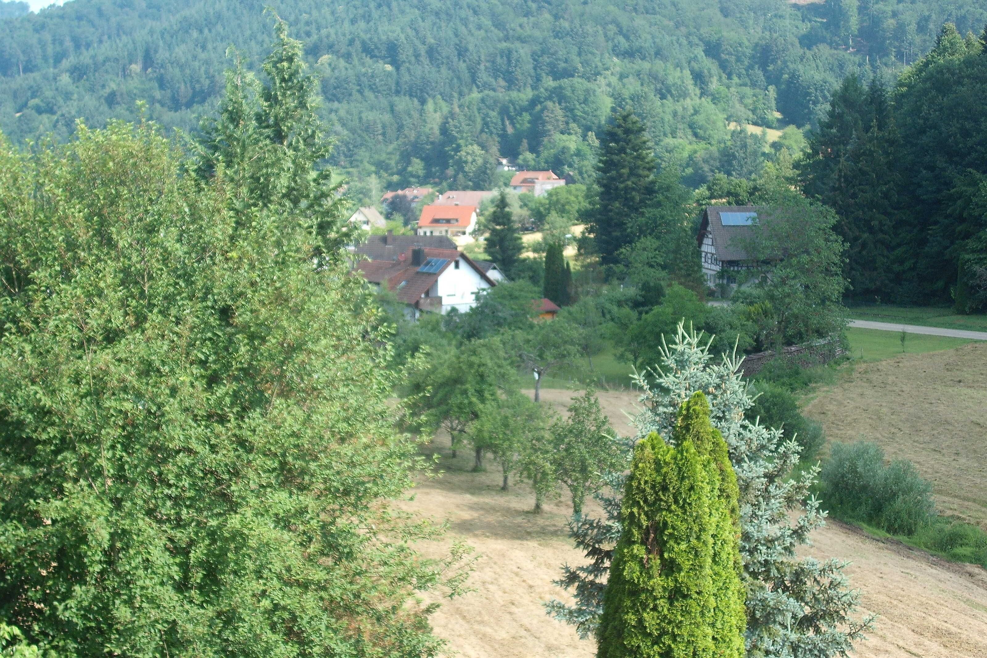 Un paysage rural avec des maisons entourées d’arbres et un chemin de terre.