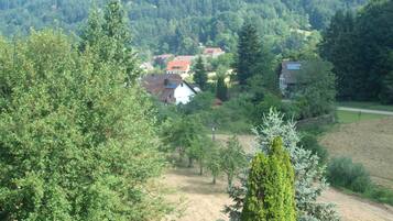Un paysage rural avec des maisons entourées d’arbres et un chemin de terre.